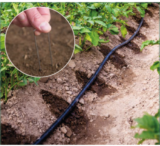 TerraFIXX Gardanstaples, Gegalvaniseerd - 100 st